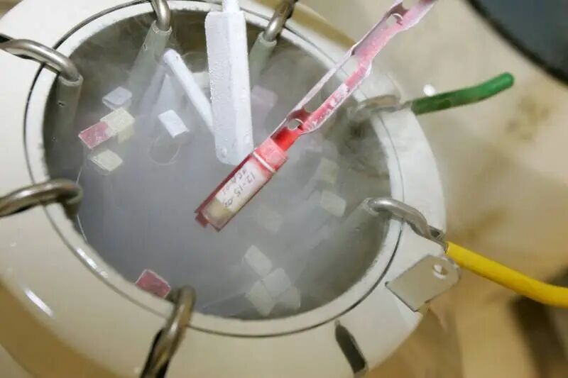 圖為一家生殖醫學機構的儲卵罐。示意圖,非事件當事者。(法新社資料照)